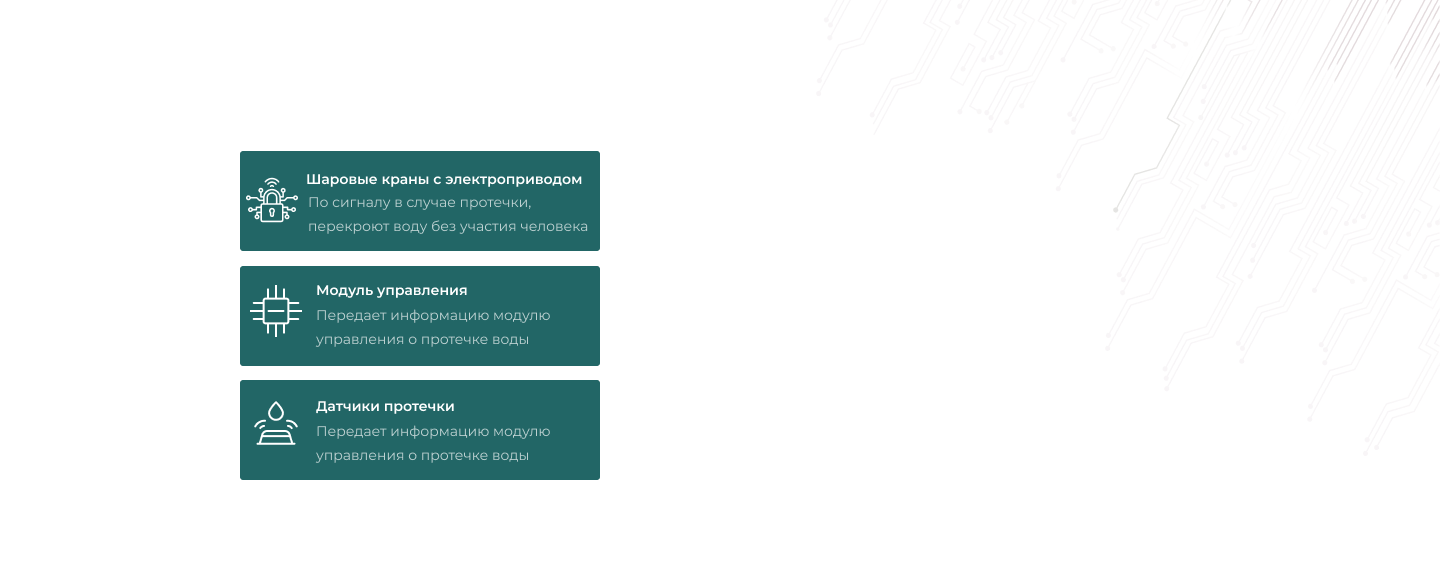 Из чего состоит  система Neptun